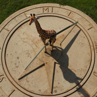 Cadran solaire mesurer par une girafe